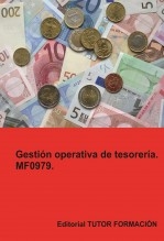 Gestión operativa de tesorería. MF0979